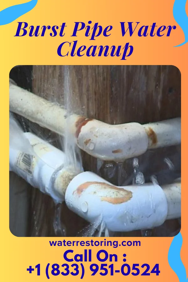 Burst Pipe Water Cleanup in Mountain Lake, NJ
