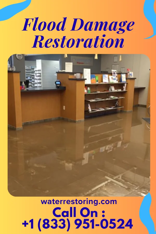 Flood Damage Restoration in Mountain Lake, NJ