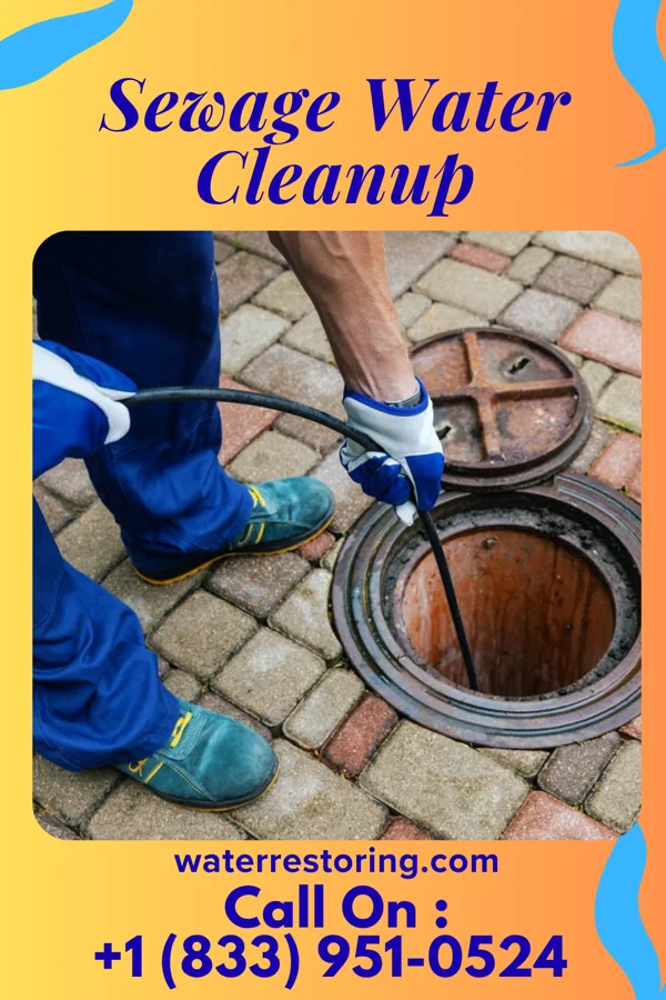 Sewage Water Cleanup in Mountain Lake, NJ